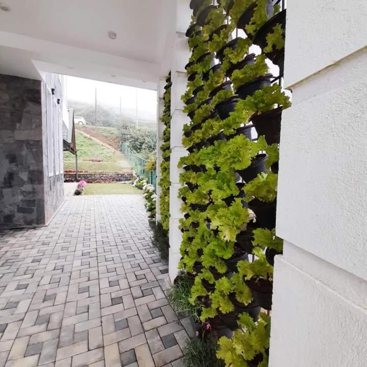 Pensive Villa Nuwara Eliya Exteriör bild